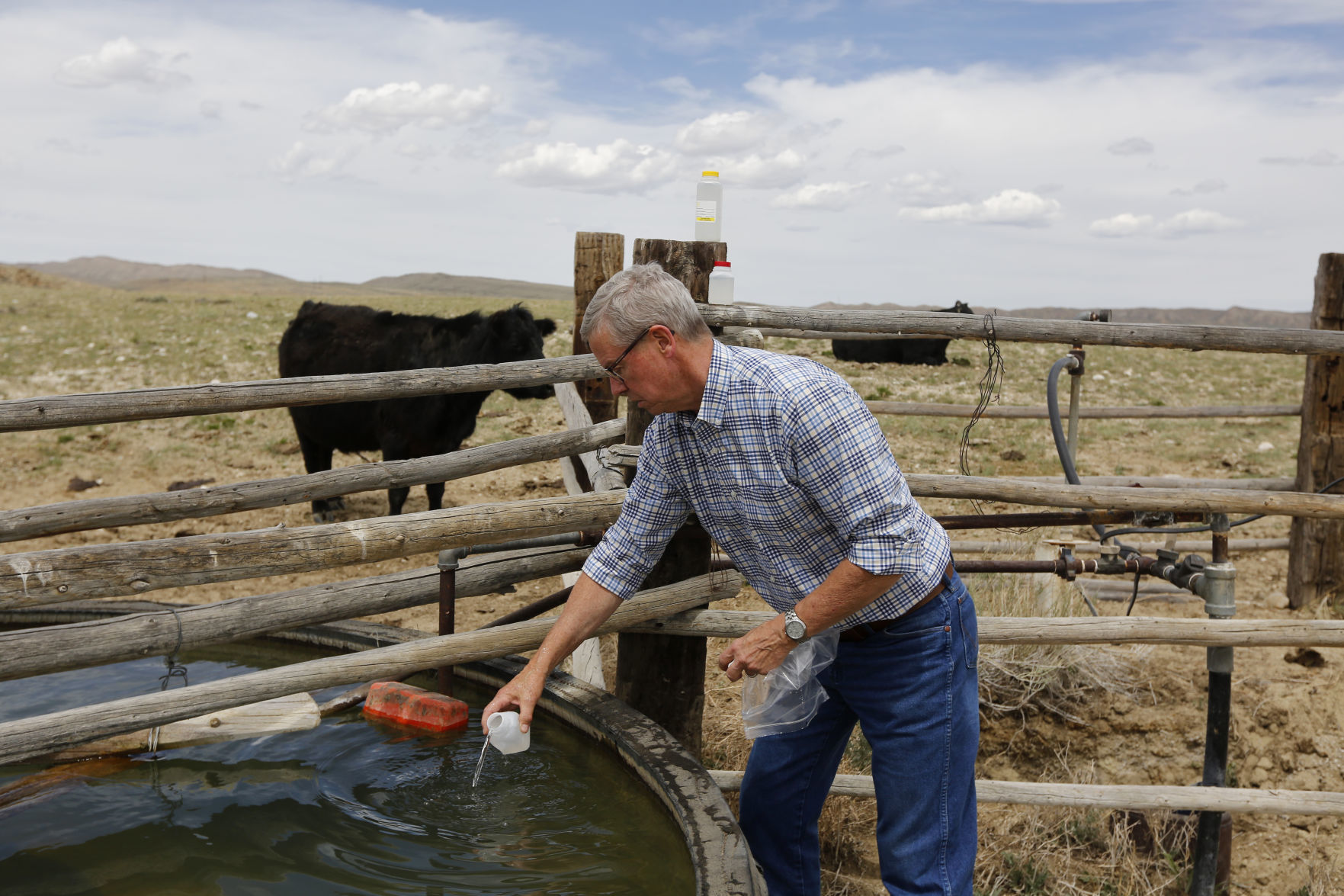 Rocky Mountain Sheep Co. Ranch